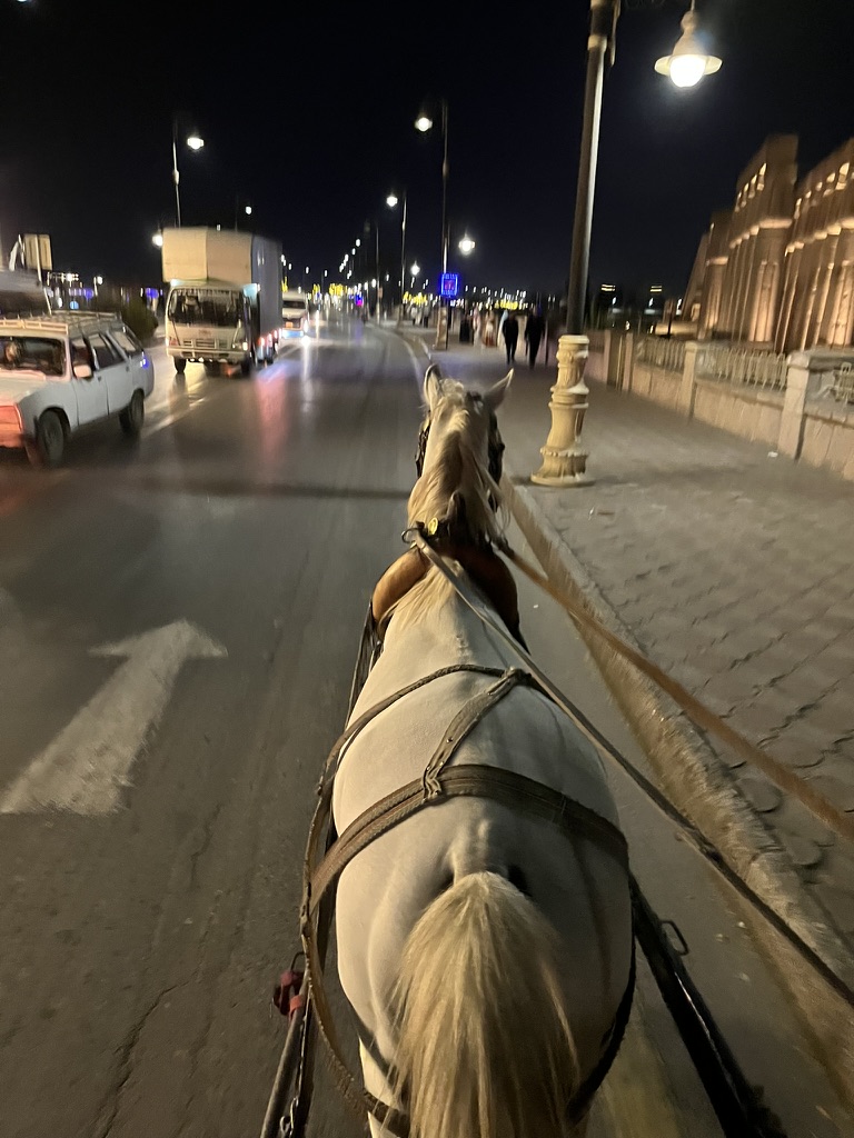 A traditional horse-drawn carriage running along the riverside promenade near the entrance to Luxor Temple.