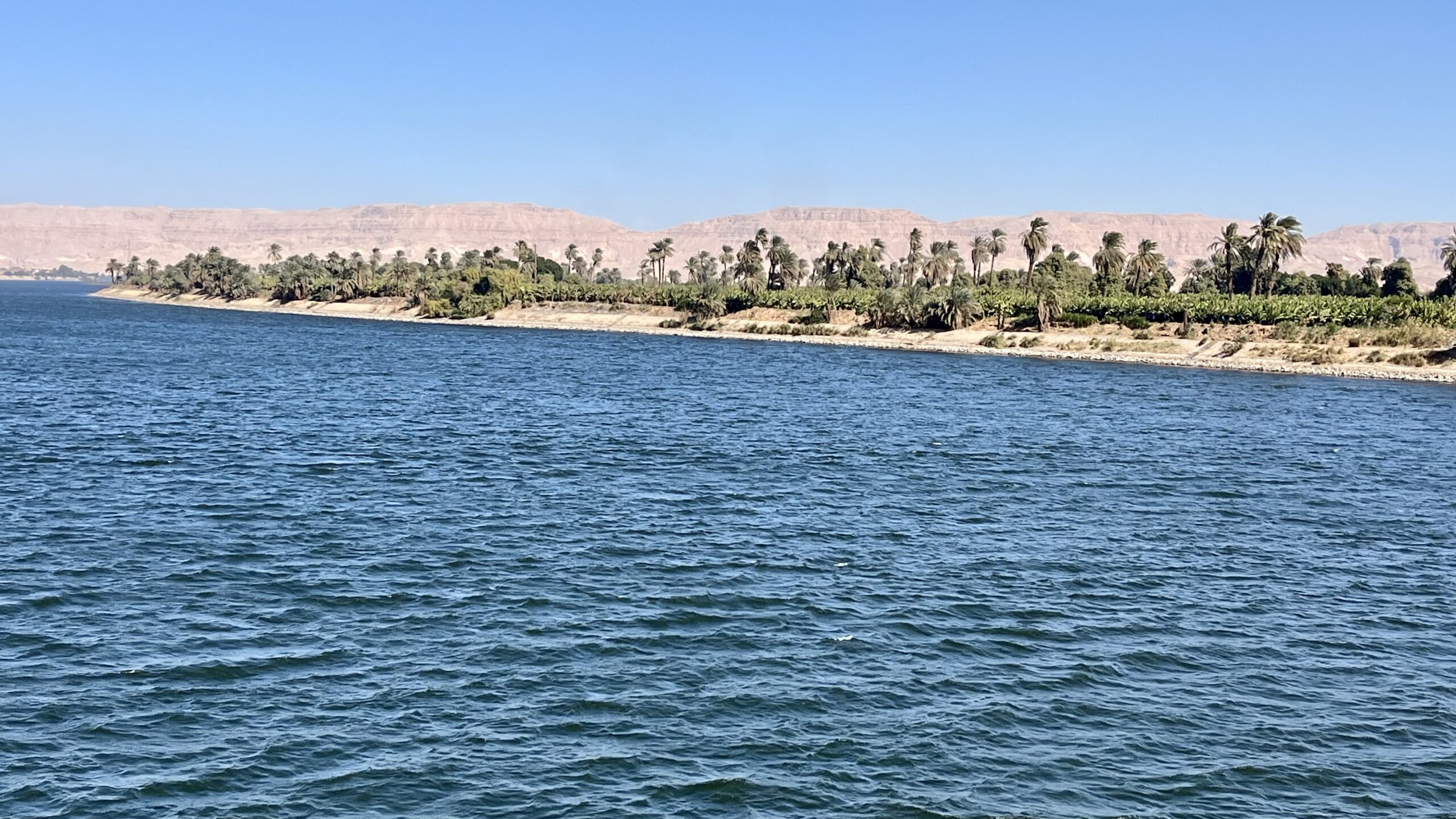 Nile cruise Aswan to Luxor - Parm Trees Along the Nile River