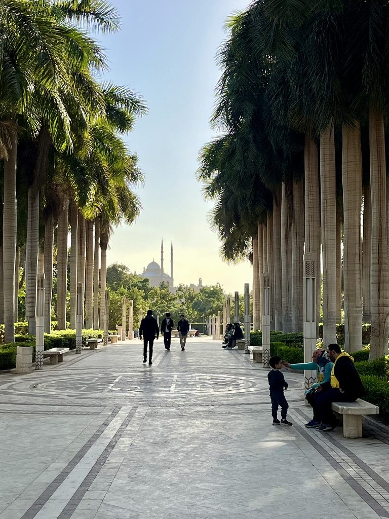 A family moment captured on the terraced lawns of Al-Azhar Park, with the skyline of the Saladin Citadel and the Mosque of Muhammad Ali rising in the background.