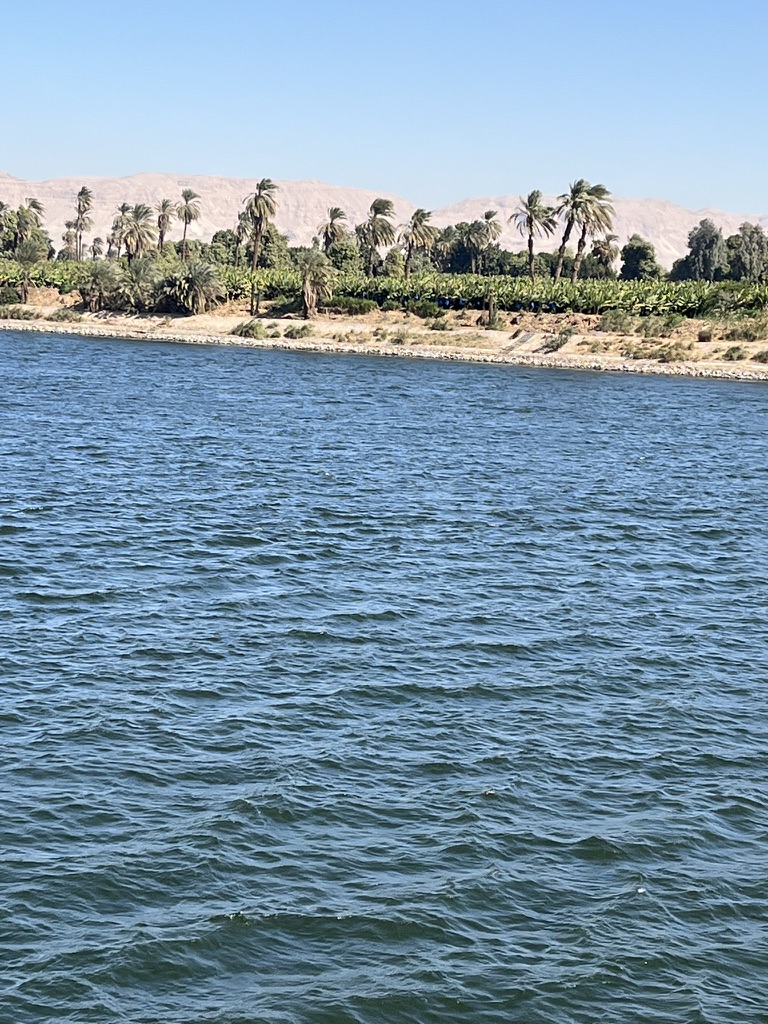 Between the temple hops, navigating the Nile is about embracing the 'slow travel' philosophy. For the independent explorer, these stretches of water are the perfect space to decompress and process the scale of the history you've just walked through.