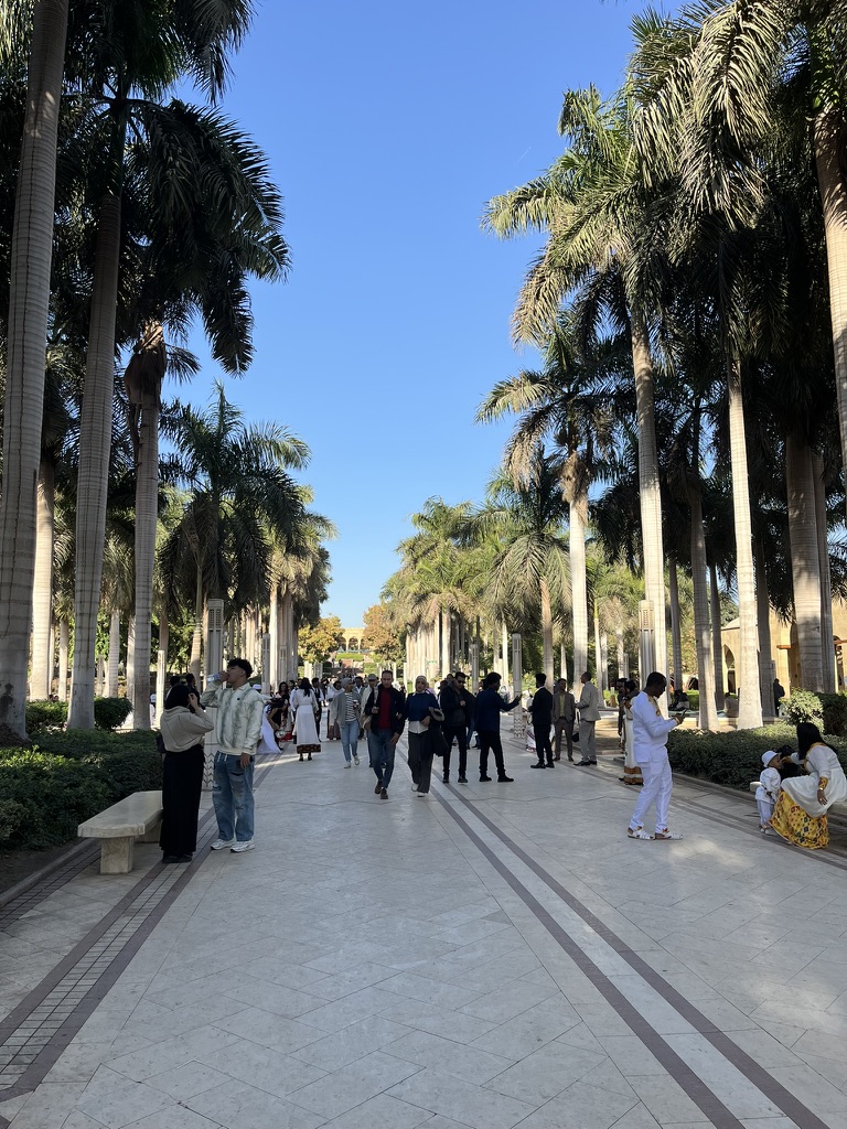 Cairo Attractions Guide: Walking through the lush, palm-lined avenues of Al-Azhar Park, where the bustle of Cairo feels miles away in this 74-acre sanctuary.