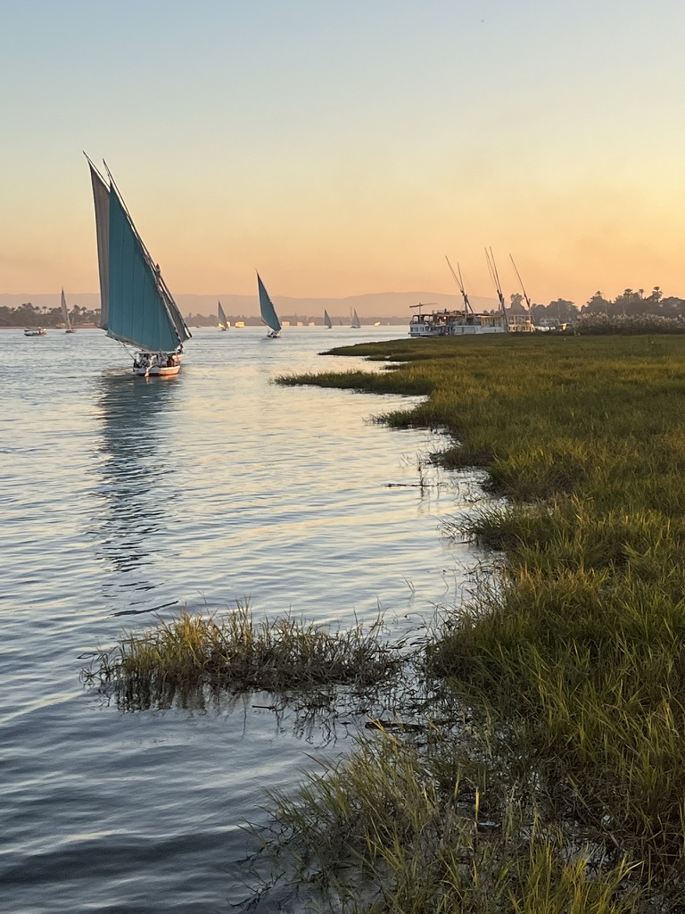 Traditional wooden sailboats, known as feluccas, navigating the Nile against a hazy sunset, with the lush greenery of the riverbank in the foreground.