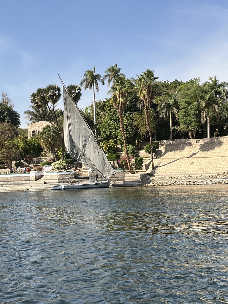 12-Day Egypt Itinerary: A traditional wooden felucca with its iconic lateen sail glides along the Nile River, offering a timeless perspective of the lush riverbanks and palm-fringed shores of Aswan.